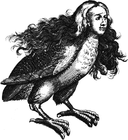 Harpy illustration, by Ulisse Aldrovandi